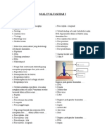 Soal Evaluasi Bab I