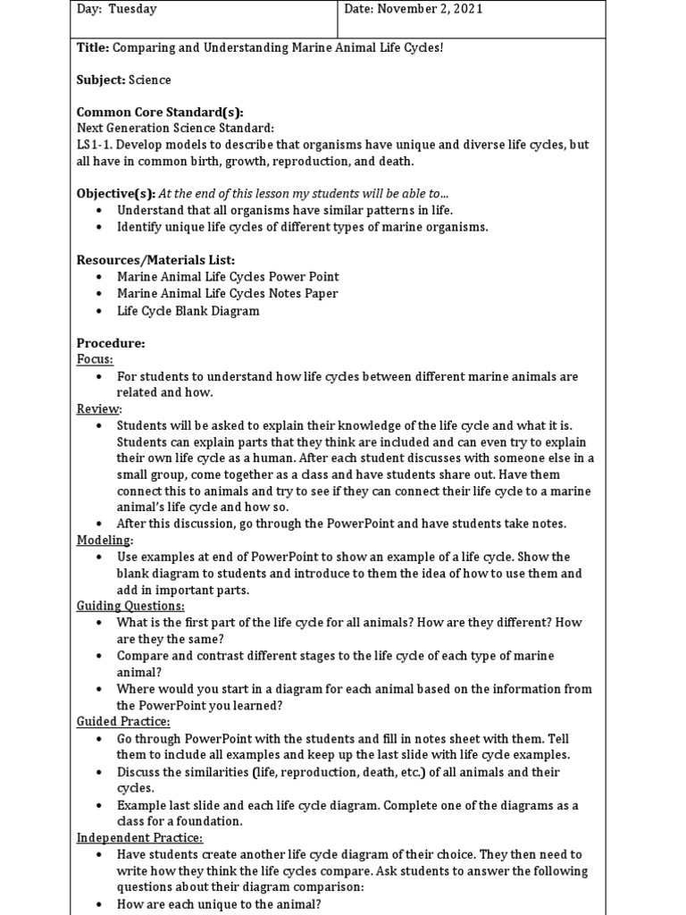 Marine Animal Life Cycles Project | PDF | Microsoft Power Point ...