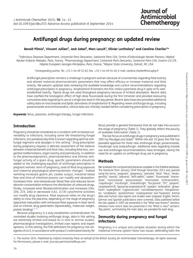 Antifungal Drugs During Pregnancy An Updated Review PDF Pregnancy