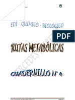 EDI Quimico Biologico #4 RUTAS METABÓLICAS