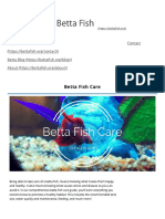 Betta Fish Care - How To Take Care of A Betta