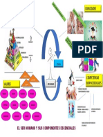 MAPA MENTAL Humanización e Salud