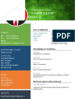 Curriculum Vitae 2