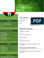 Curriculum Vitae 3