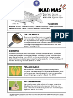 Poster Clarias Gariepinus