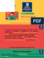 1roavanzado Ibimestre Histologia