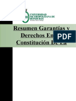 Resumen Garantías y Derechos en La Constitución de La Republica