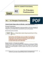 CNT 02 - Os Princípios Fundamentais