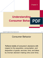 Chapter 3 Consumer Behavior