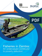 Fisheries in Zambia - An Undervalued Sector