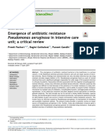 Emergence of Antibiotic Resistance Pseudomonas Aeruginosa in Intensive Care Unit A Critical Review