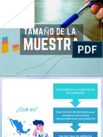 Tamaño de La Muestra