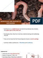 Morphology and Anatomy of Earthworm