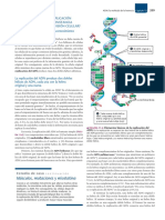 7 M Complementario Sobre Replicación