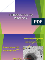 Introduction to viruses 2021