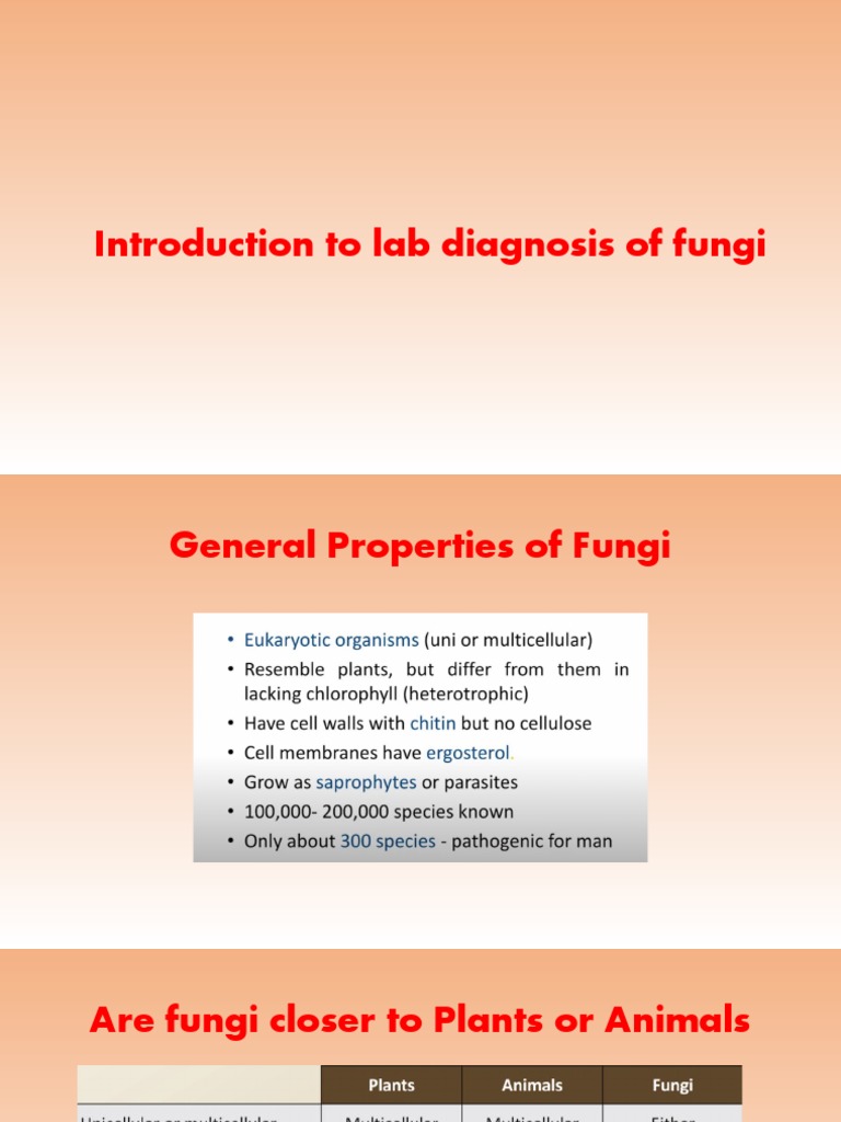 Lab Diagnosis of Fungal Infections | PDF | Fungus | Mold