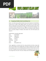 Download Kelapa Sawit Profil Komoditi Kelapa Sawit by Ibrahim Febrizky SN53975112 doc pdf