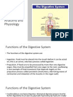 Digestive System Anatomy and Physiology