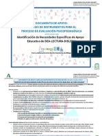 Documento de Apoyo Evaluación Psicopedagógica NEAE DEA Lectura