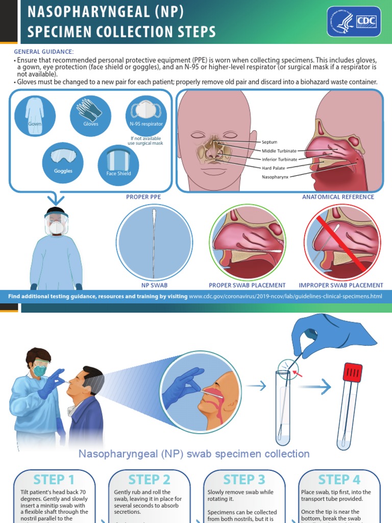 NP Specimen Collection Infographic FINAL 508 PDF Workplace