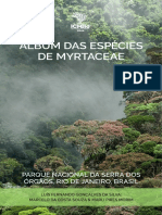 Album_Myrtaceae
