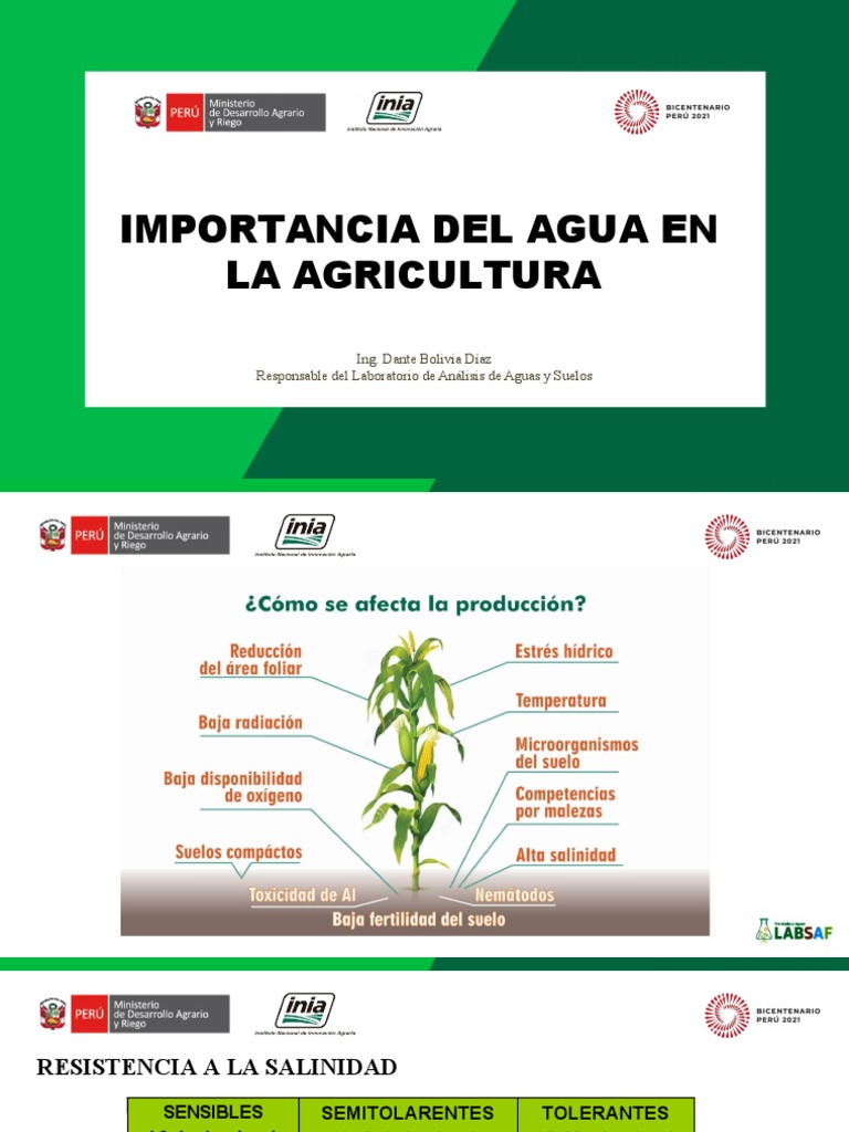Importancia del Agua en Agricultura | PDF | Agua | Suelo