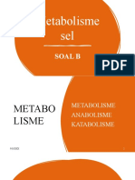 METABOLISME-SELA