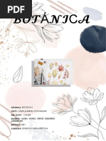 Informe 6 HISTOLOGIA VEGETAL 3