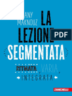 Lezione Segmentata