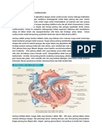 Part II. Olahraga Dan Sistem Cardiovascular