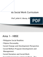 Areas of The BSSW Curriculum