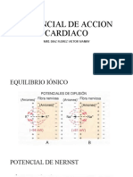 Potencial de Accion Cardiaco