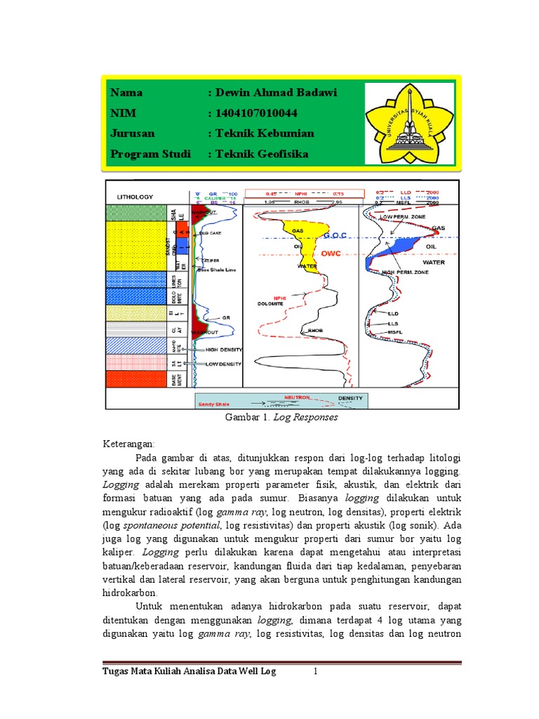 Analisa Data Well Log | PDF