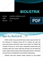 Chitya - Biolistrik