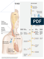 Estimulacion Nervio Vago