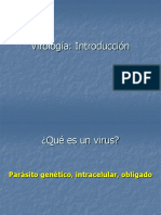 4 Infecciones Virales de La Piel