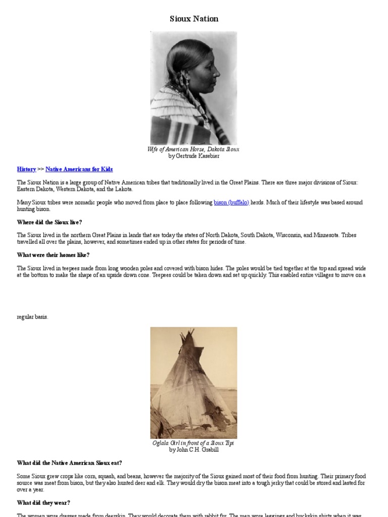 HISTORY OF THE SIOUX TRIBE A CHRONICLE OF SURVIVAL AND IDENTITY intelligence overview