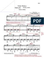 IMSLP32466-PMLP02603-Liszt Musikalische Werke 2 Band 9 77 Nuages Gris