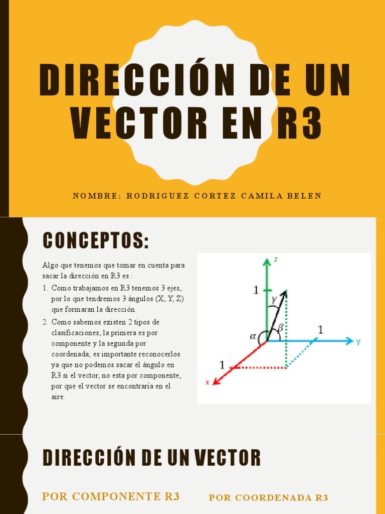 Dirección de Vectores en R3 | PDF | Vector Euclidiano | Geometría