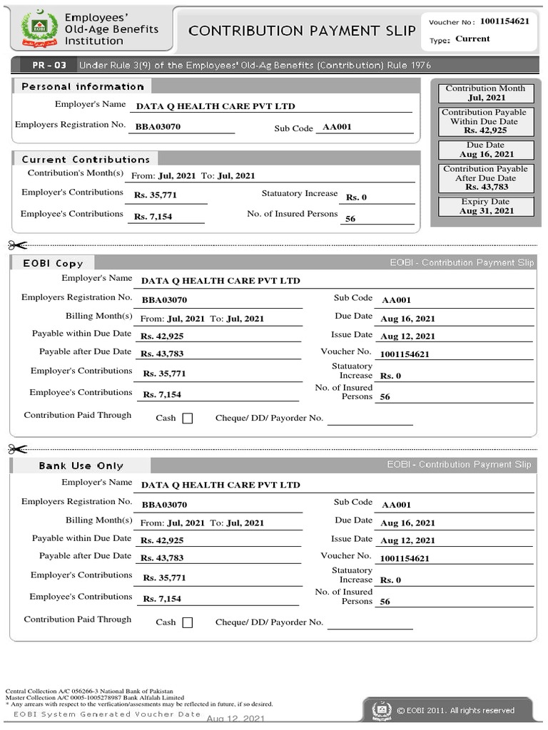 EOBI Contribution Payment Details | PDF | Financial Services