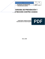Programa - Prevencion - Y - ProteccionContraCaidas 2020