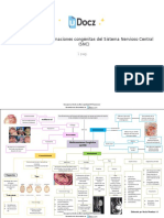 Mapa Mental Malformaciones Congenitas Del Sistema Nervioso Central SNC 1 Downloable