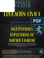 TEMA 8 y 9 - INSTITUCIONES SUPLETORIAS DE AMPARO FAMILIAR - 5TO