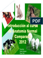 TP Introduccion Al Curso de Anatomia Normal Comparada