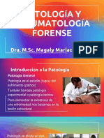 Patologia Traumatologia Forense