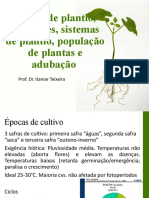 Feijão - Epocas de Plantio, População de Plantas e Adubação