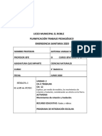 Planificacion Junio Ciencias