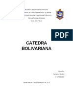 Informe de Bolivar