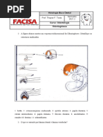 Atividade 7 - Revisão Odontogenese - Pronta