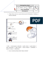 Histologia Buco Dental: Odontogênese